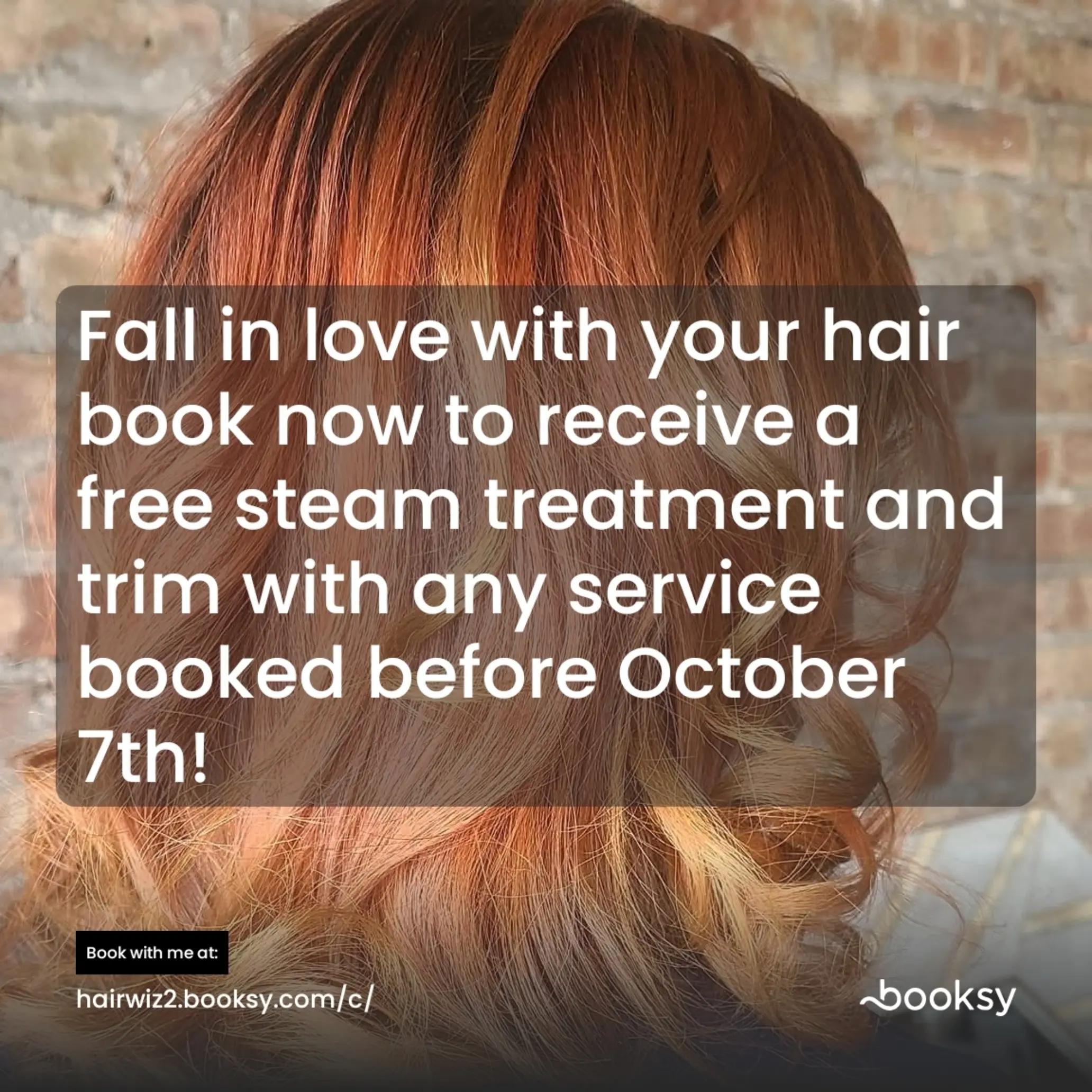@Denise The HairWiz