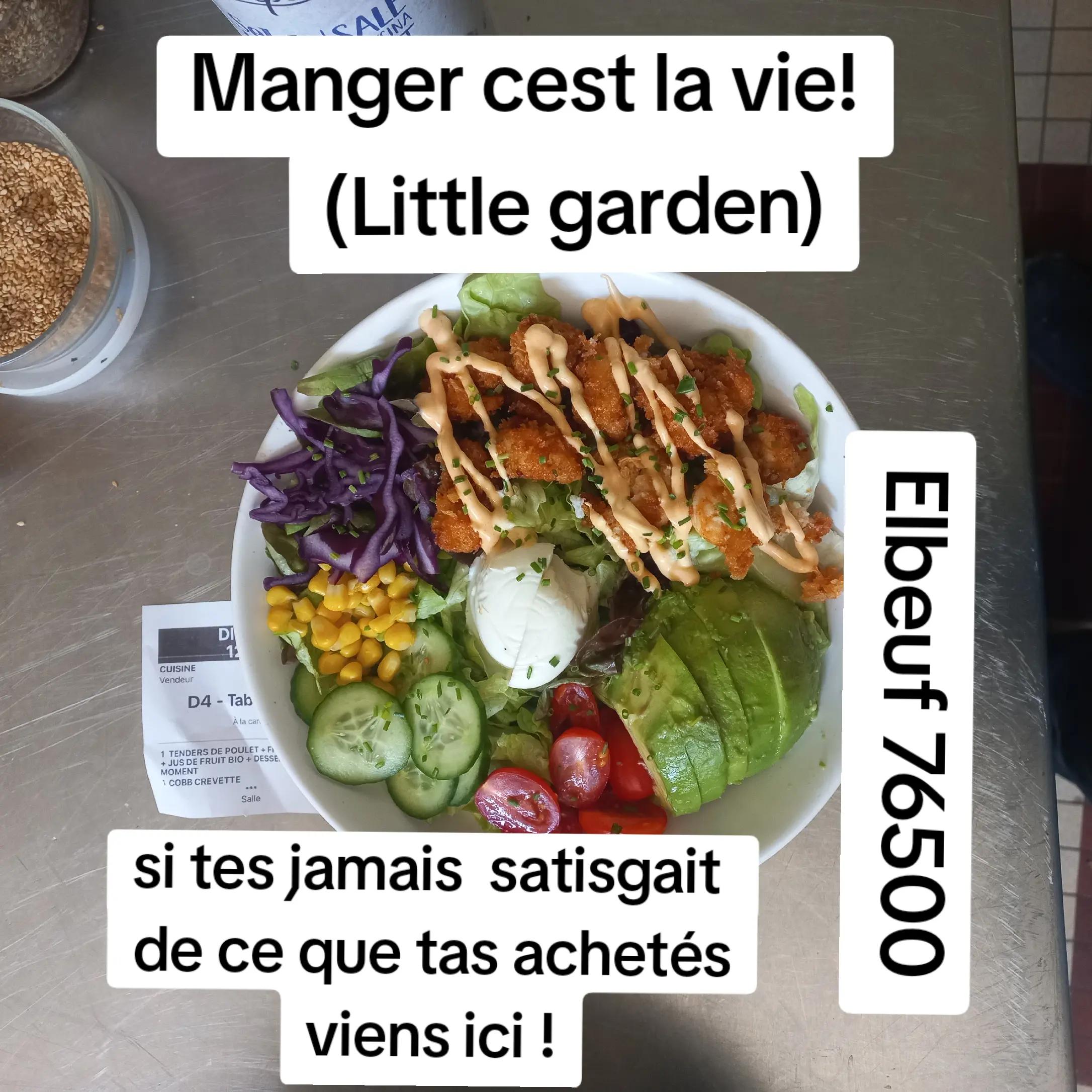 @Micro D'Elbeuf (MDM)