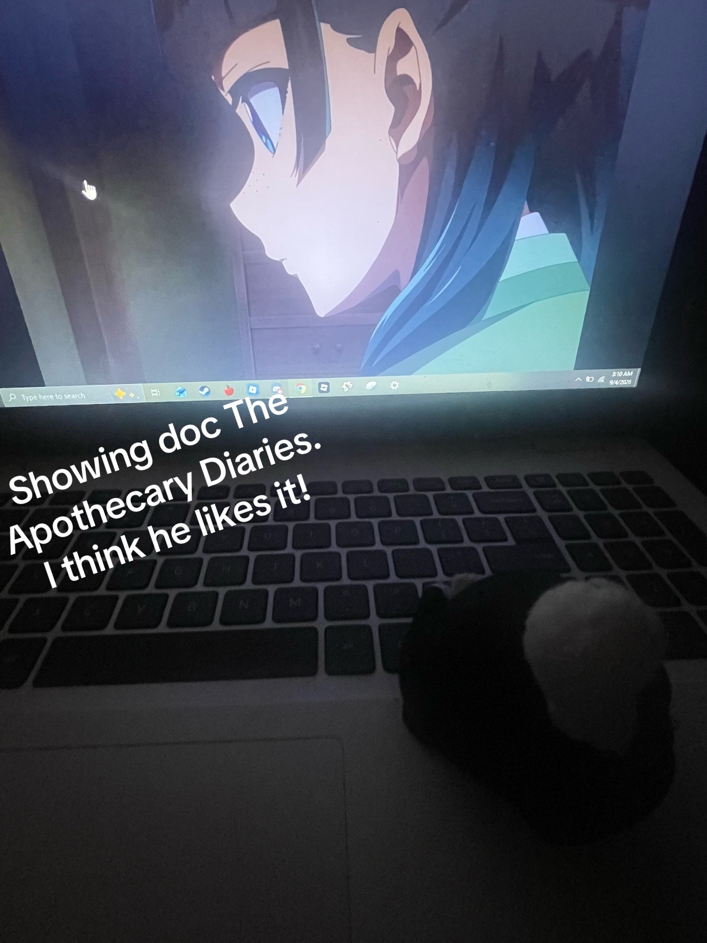 @~ifuckinlovewdgaster~