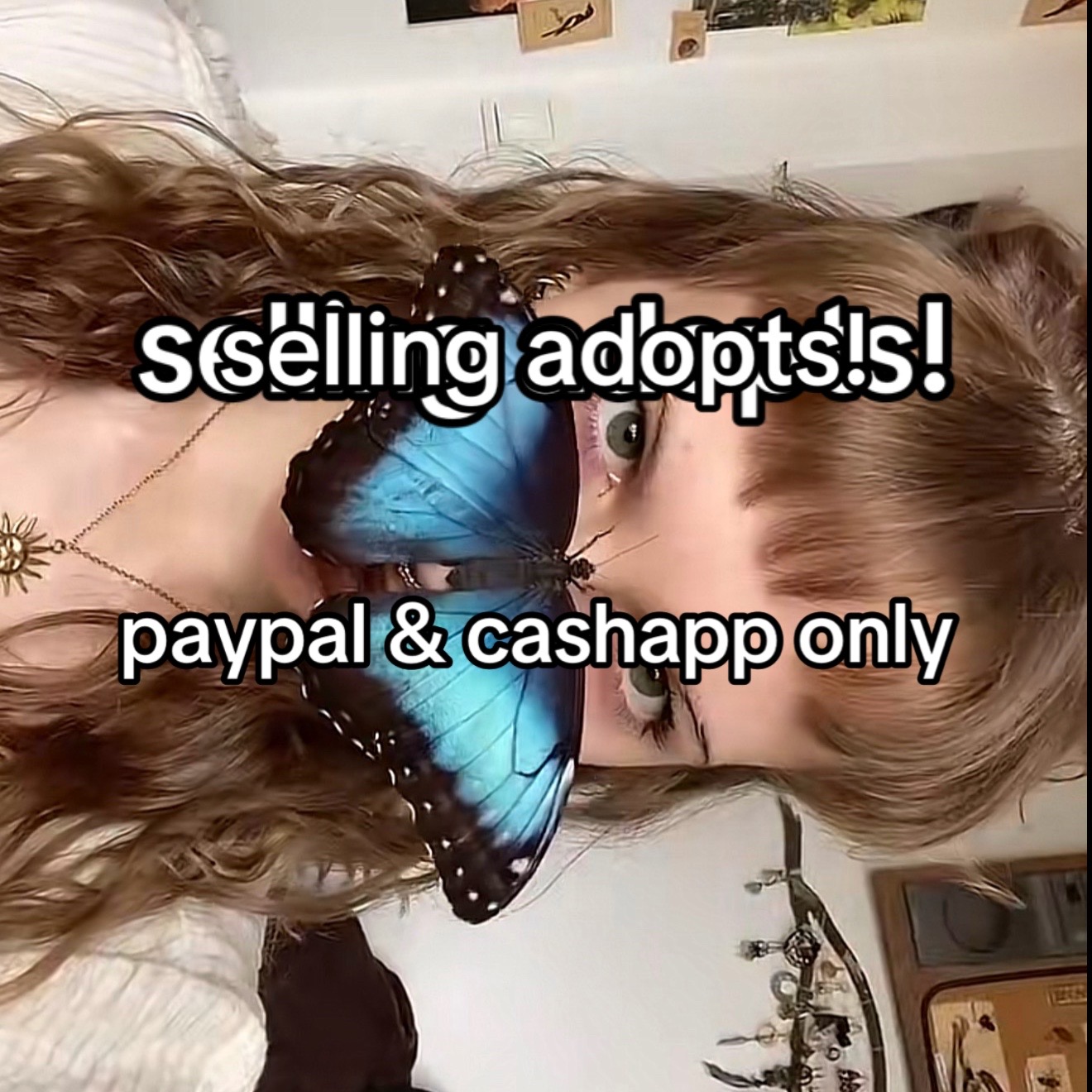 @shark girl