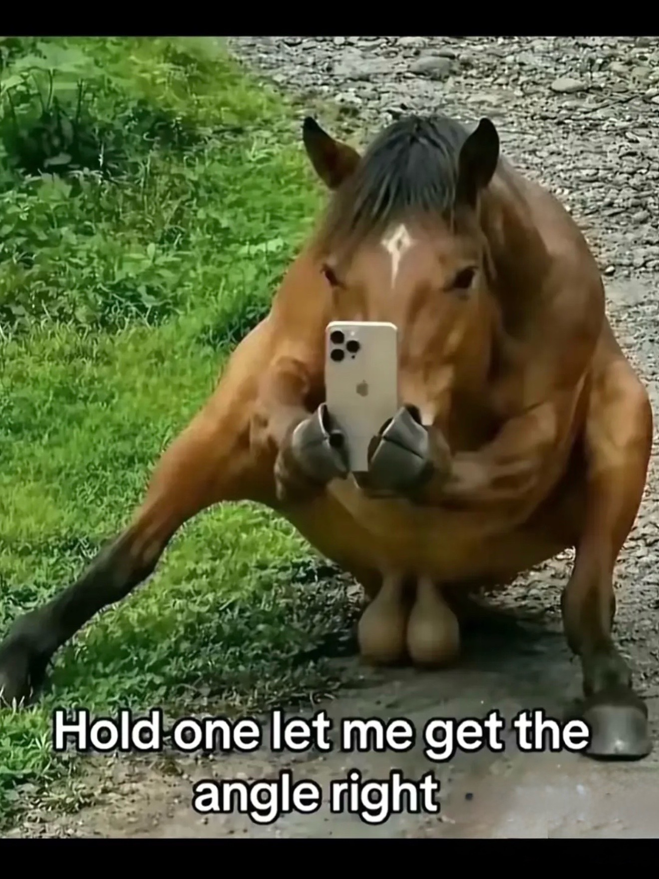 @dirtydiesel5_9