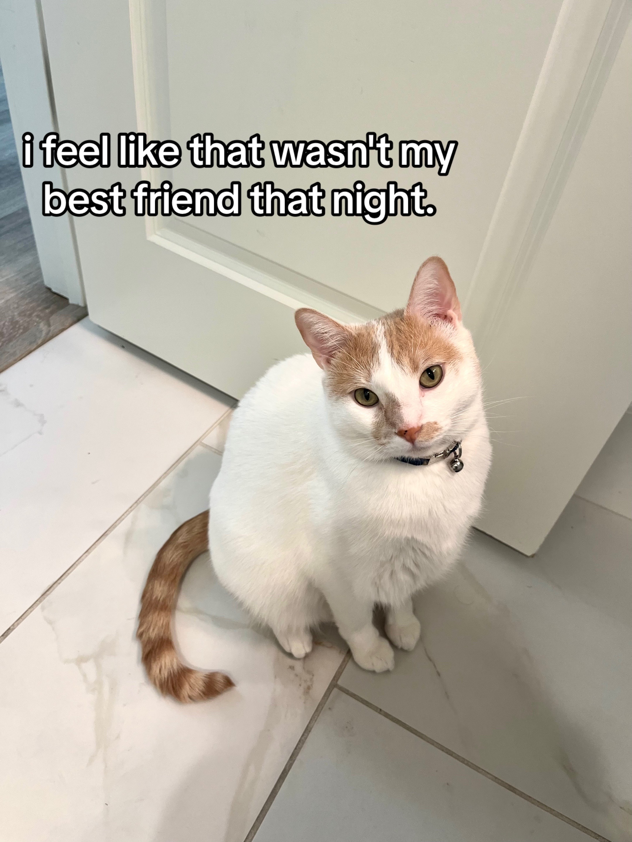 @nikki
