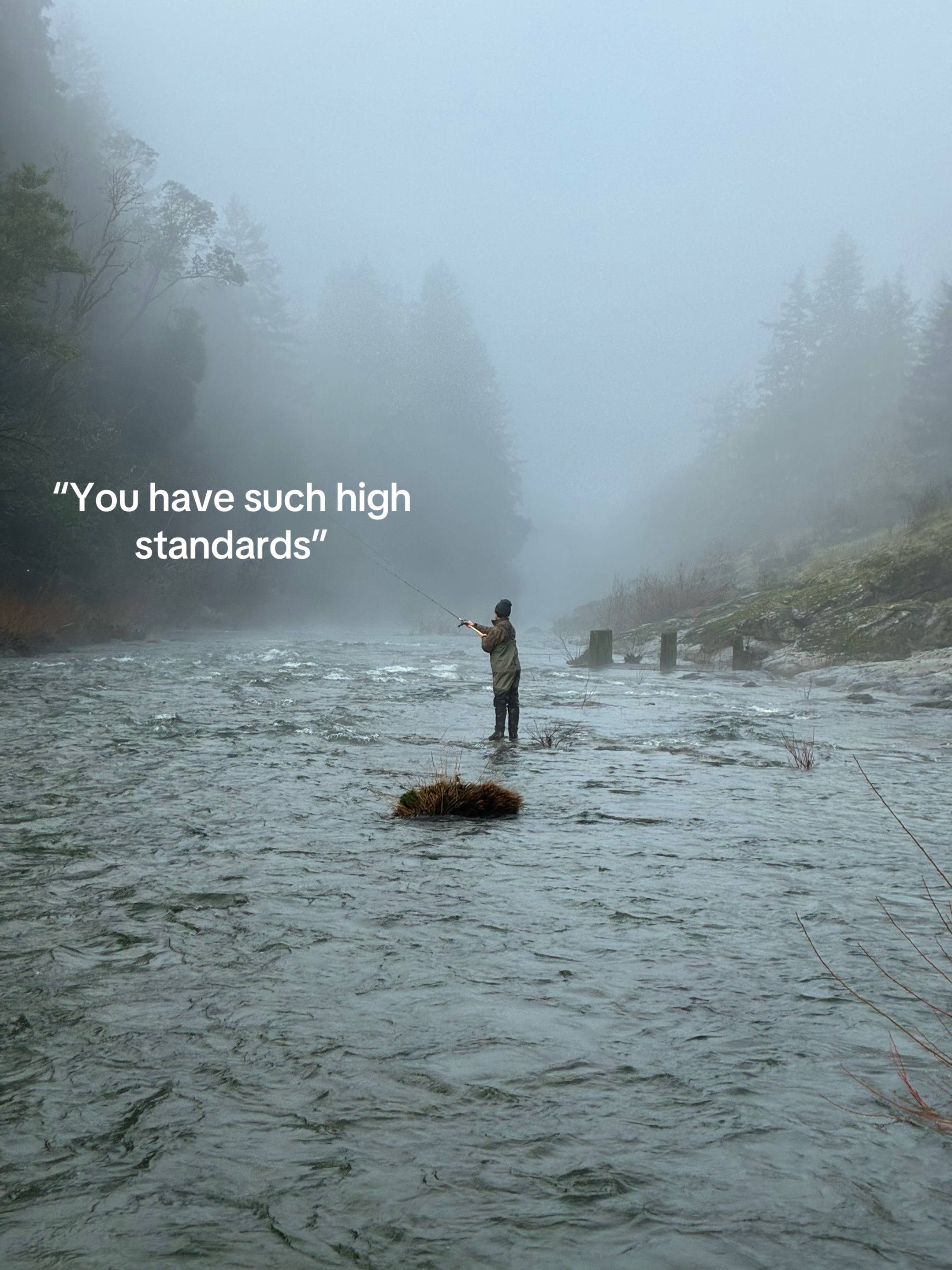 @Rogue
