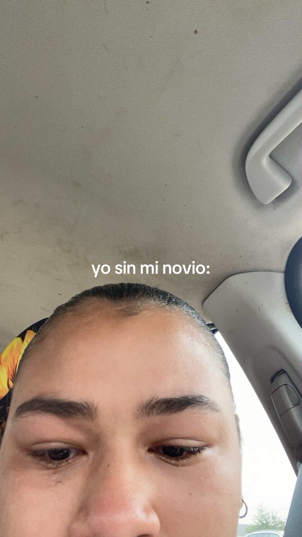@l ʚɞ