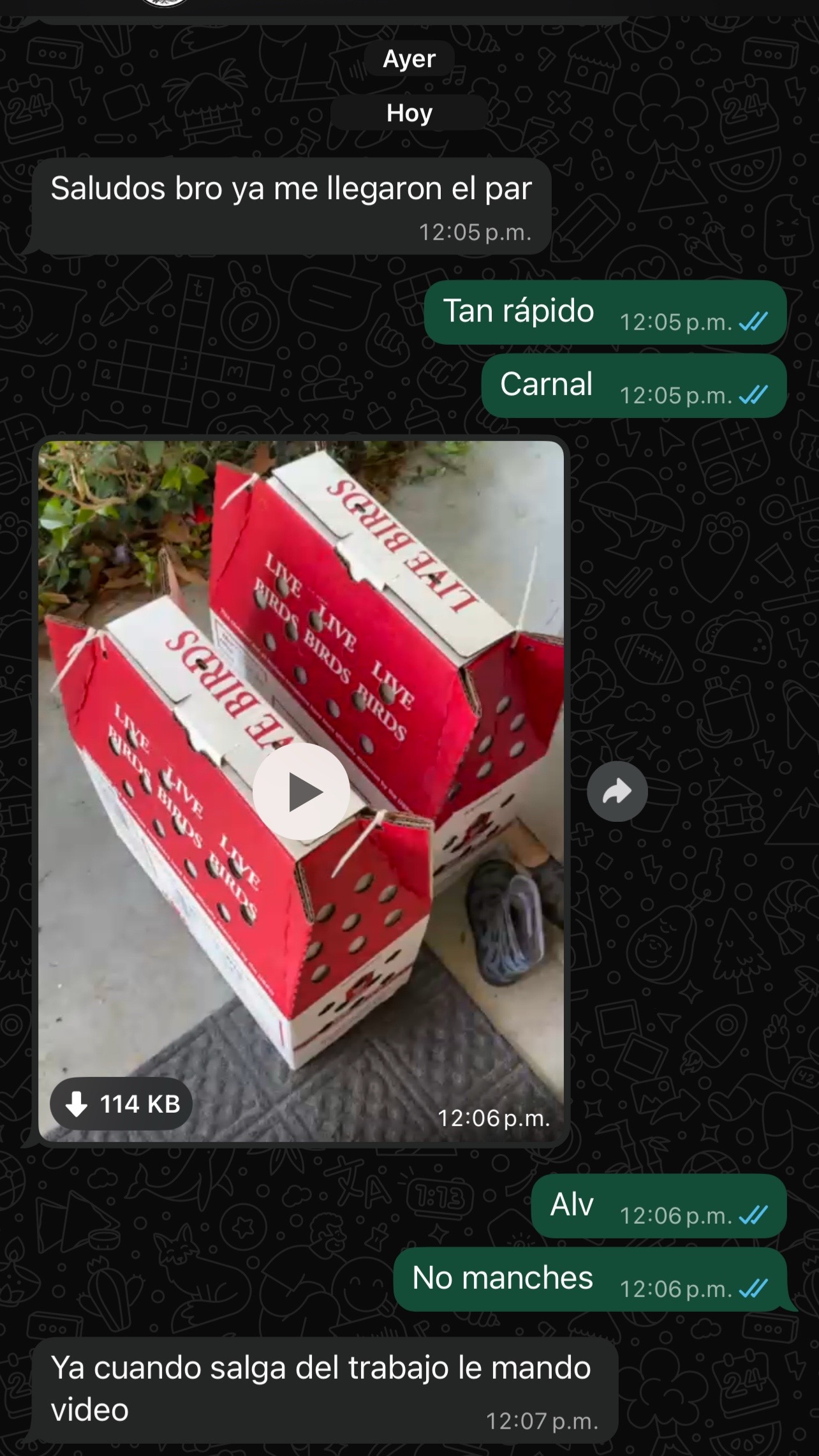 @Venturas mug gamefowl