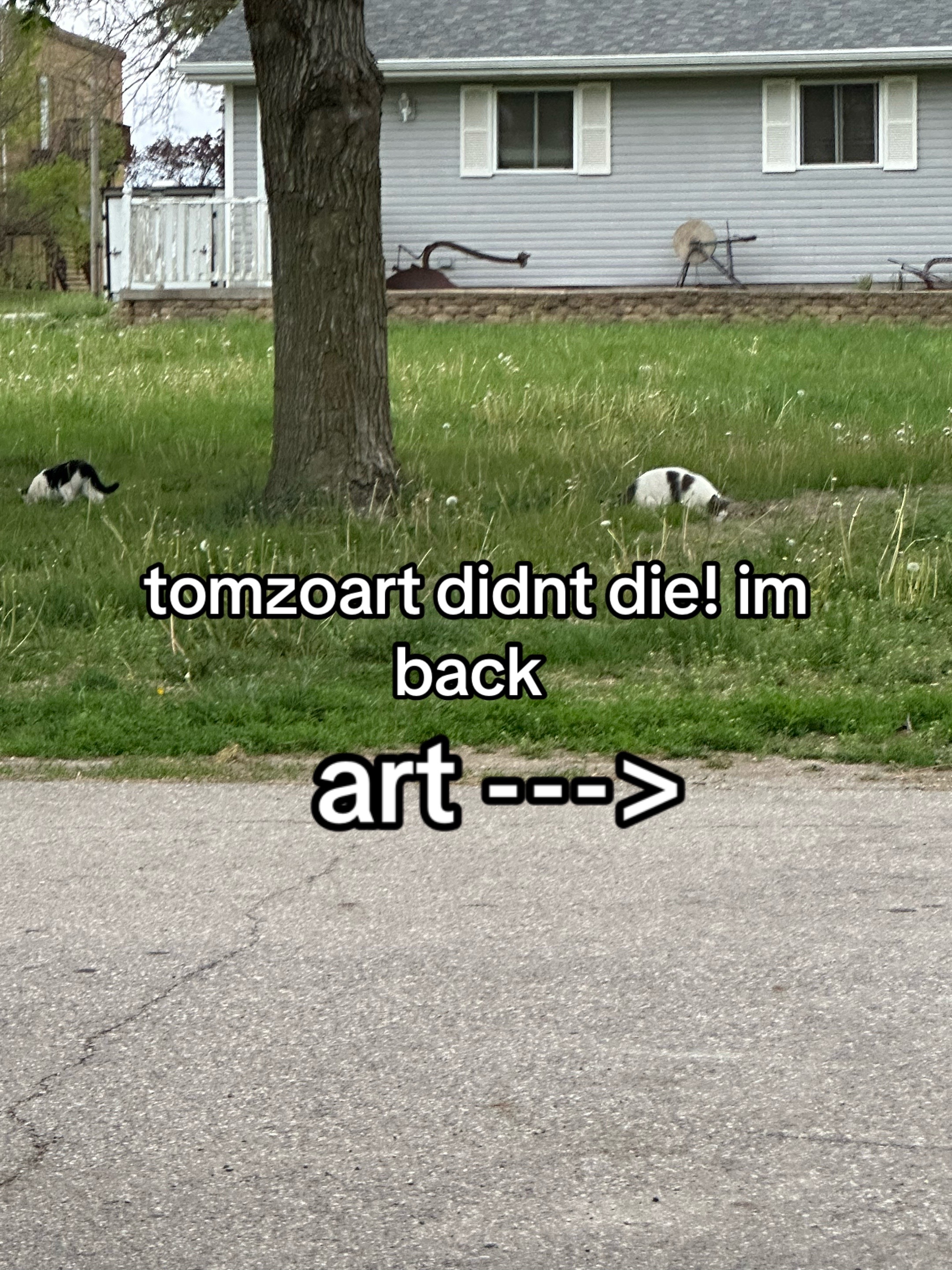 @tomzo :-) || COMMS OPEN!!!