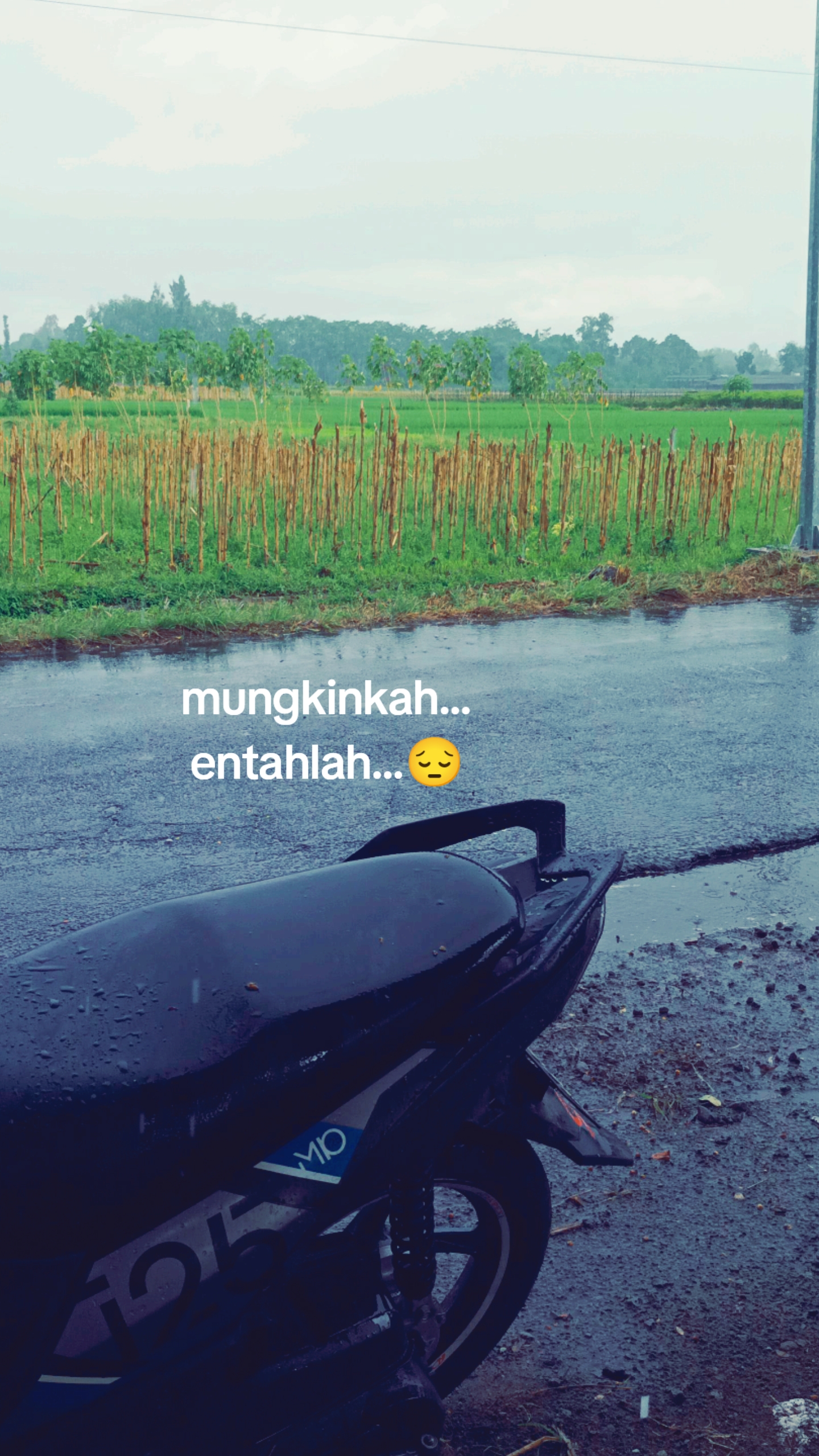 @𝘼𝙡𝙫𝙞𝙣