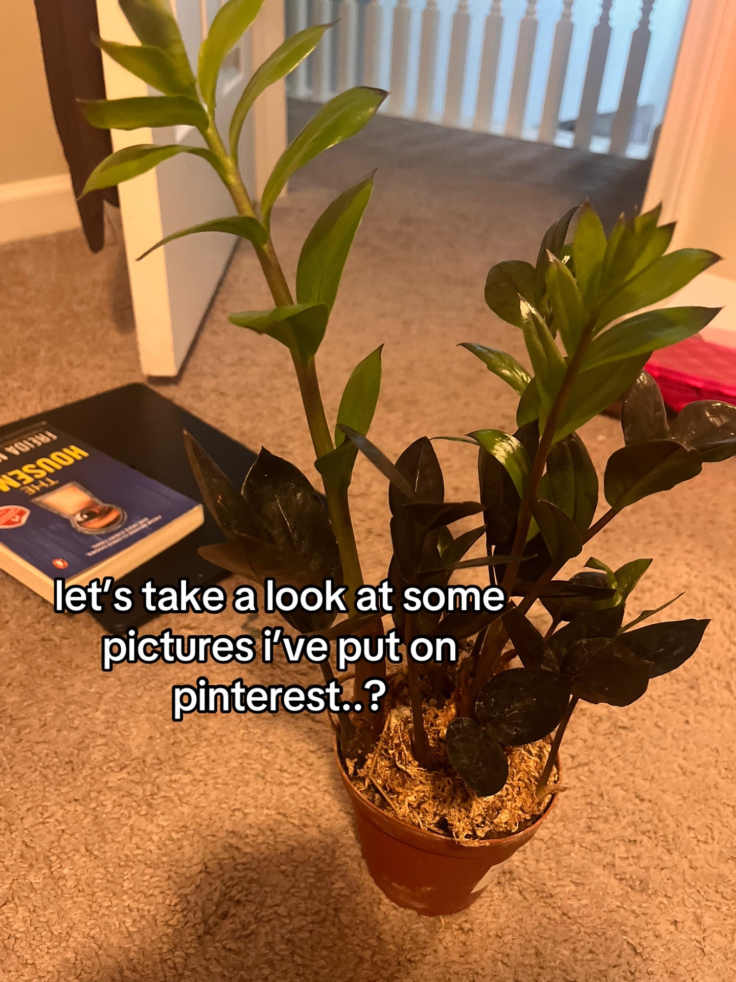 @katelyn🌿