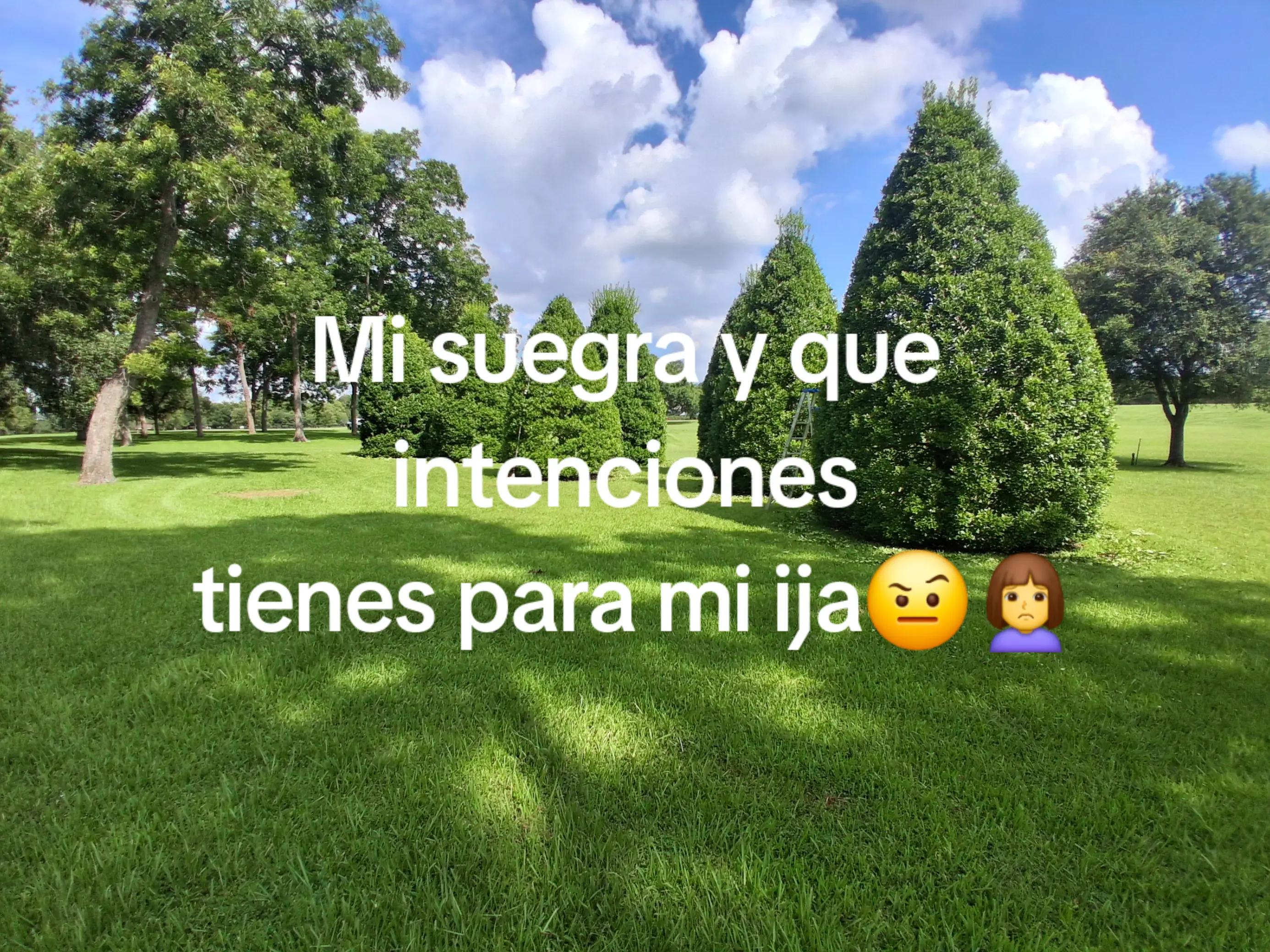 @noelito2317🦎