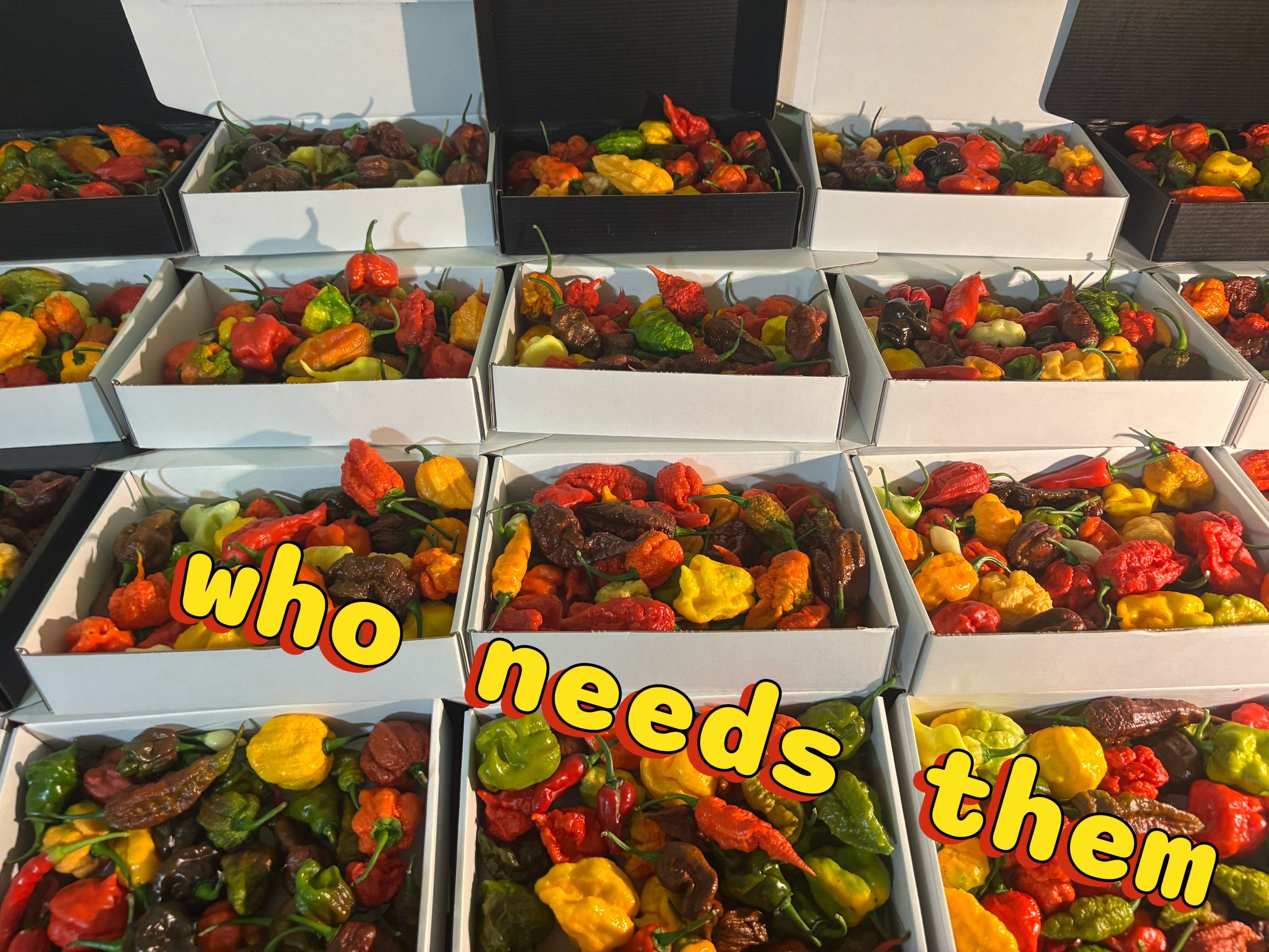 @Jdeaththepepperguy 🌶️AGX🌶️🌱