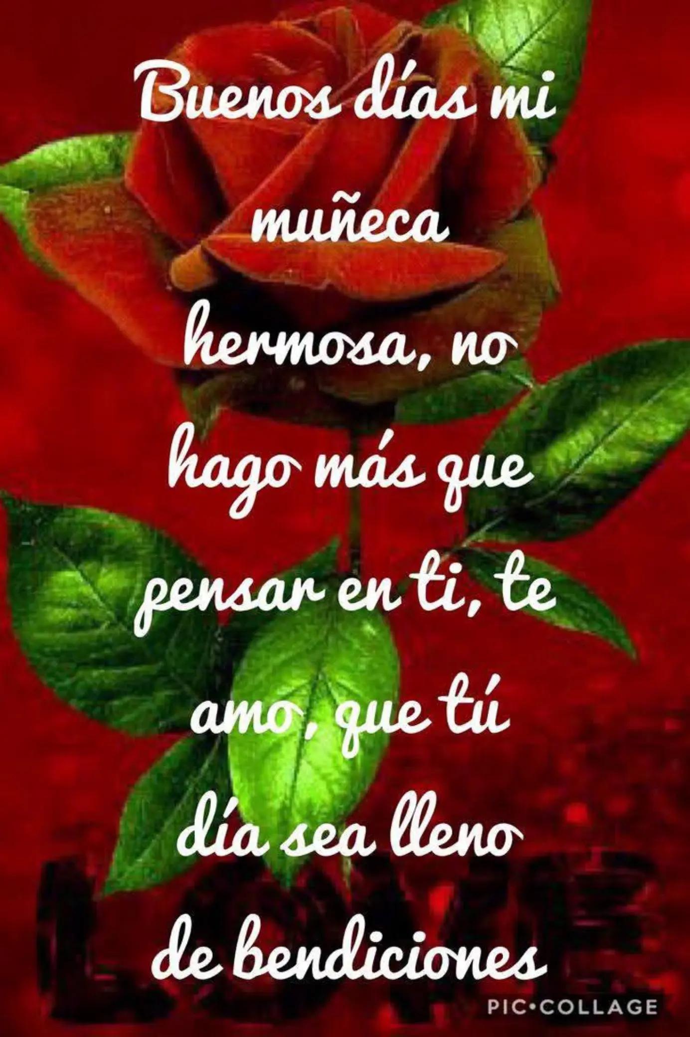 @Blancarodriguez