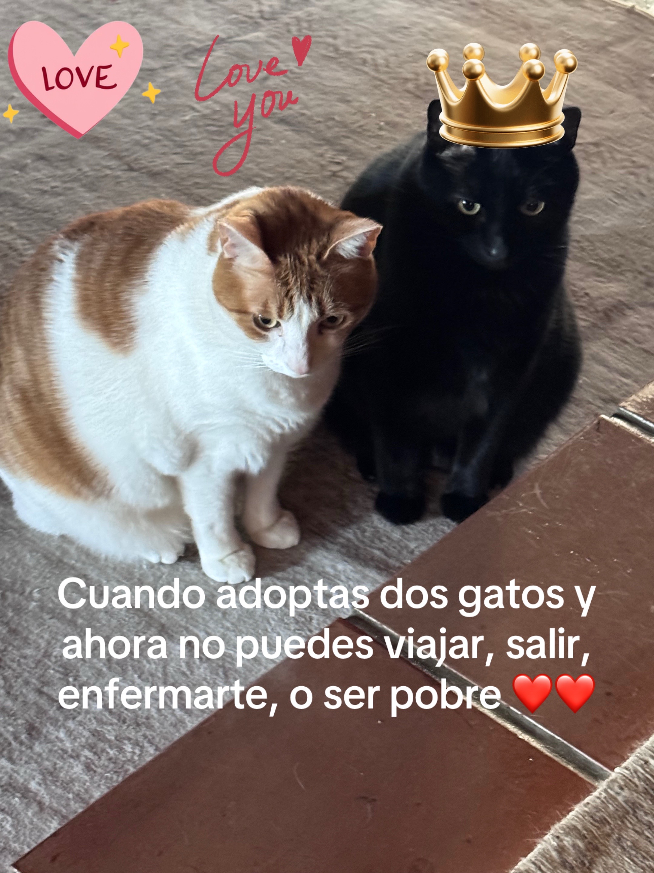 @Olgui59