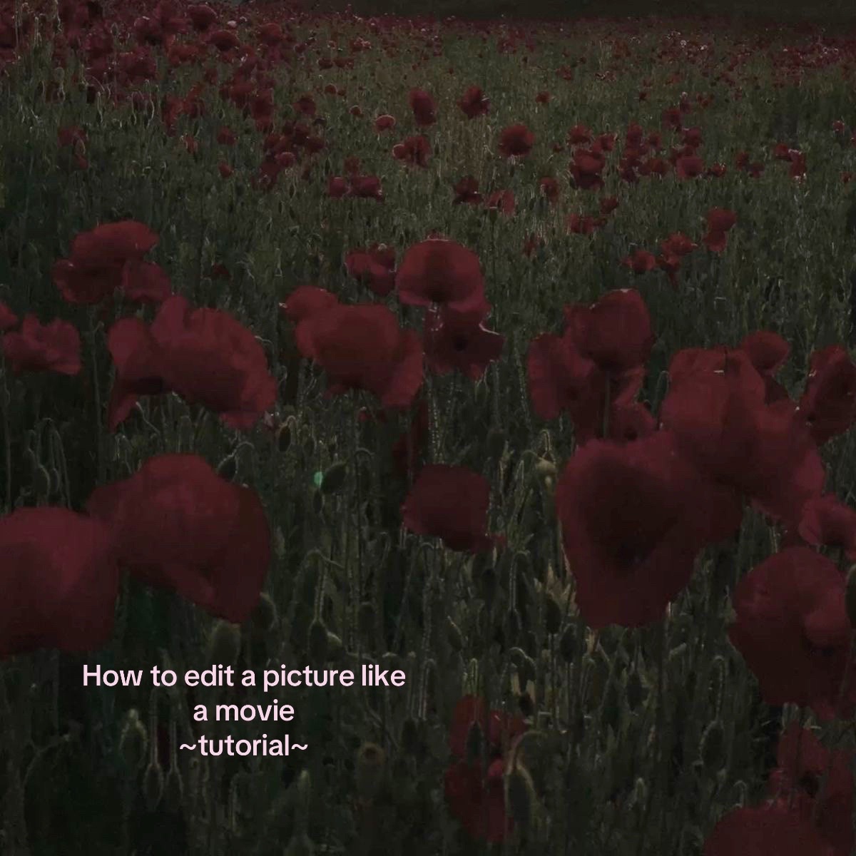@Lizz🥀