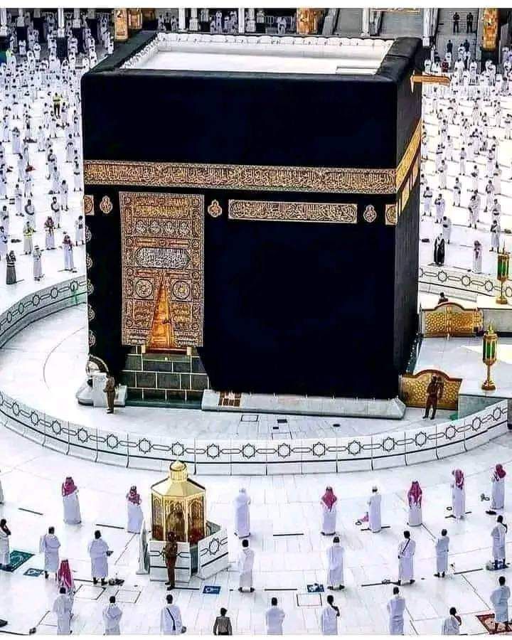 @RaisAyoub72