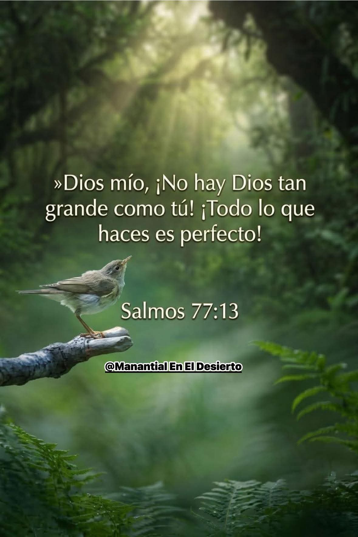 @hola, hola