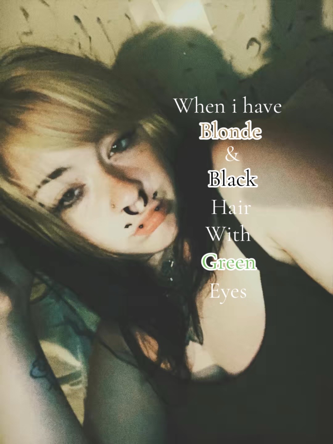 @Moldy🦇🥀