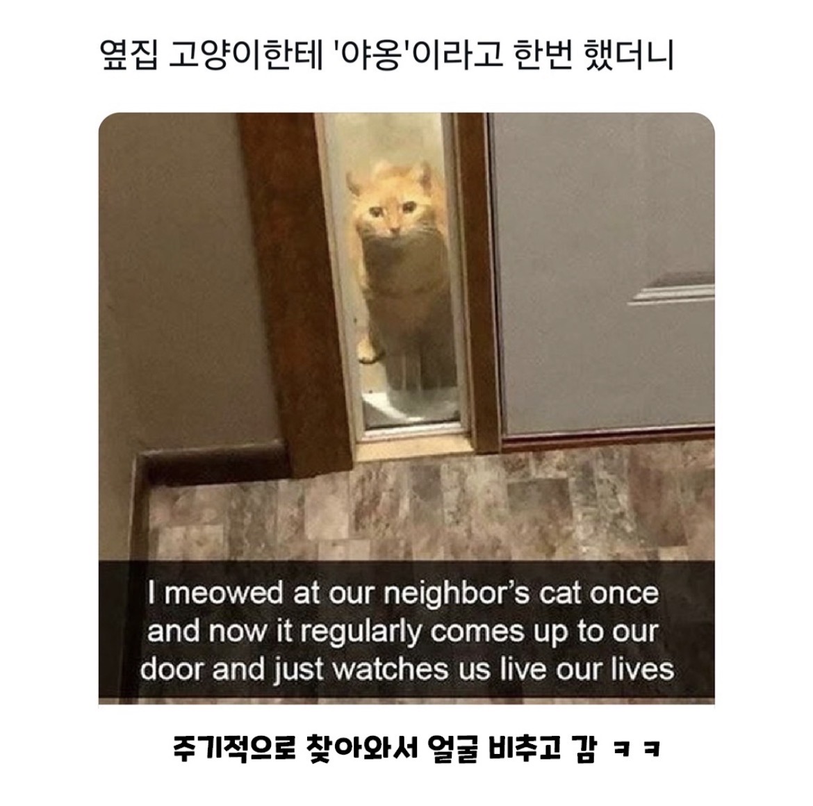 @로이젤