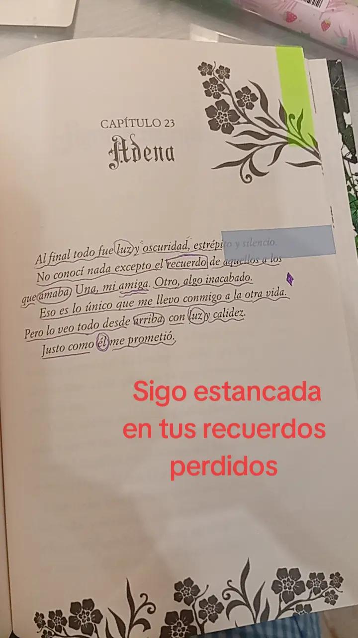 @🧝🏻&zwj;♀️🌚Silver savior 🪻🗡️