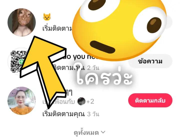 @แมววัดพันปี