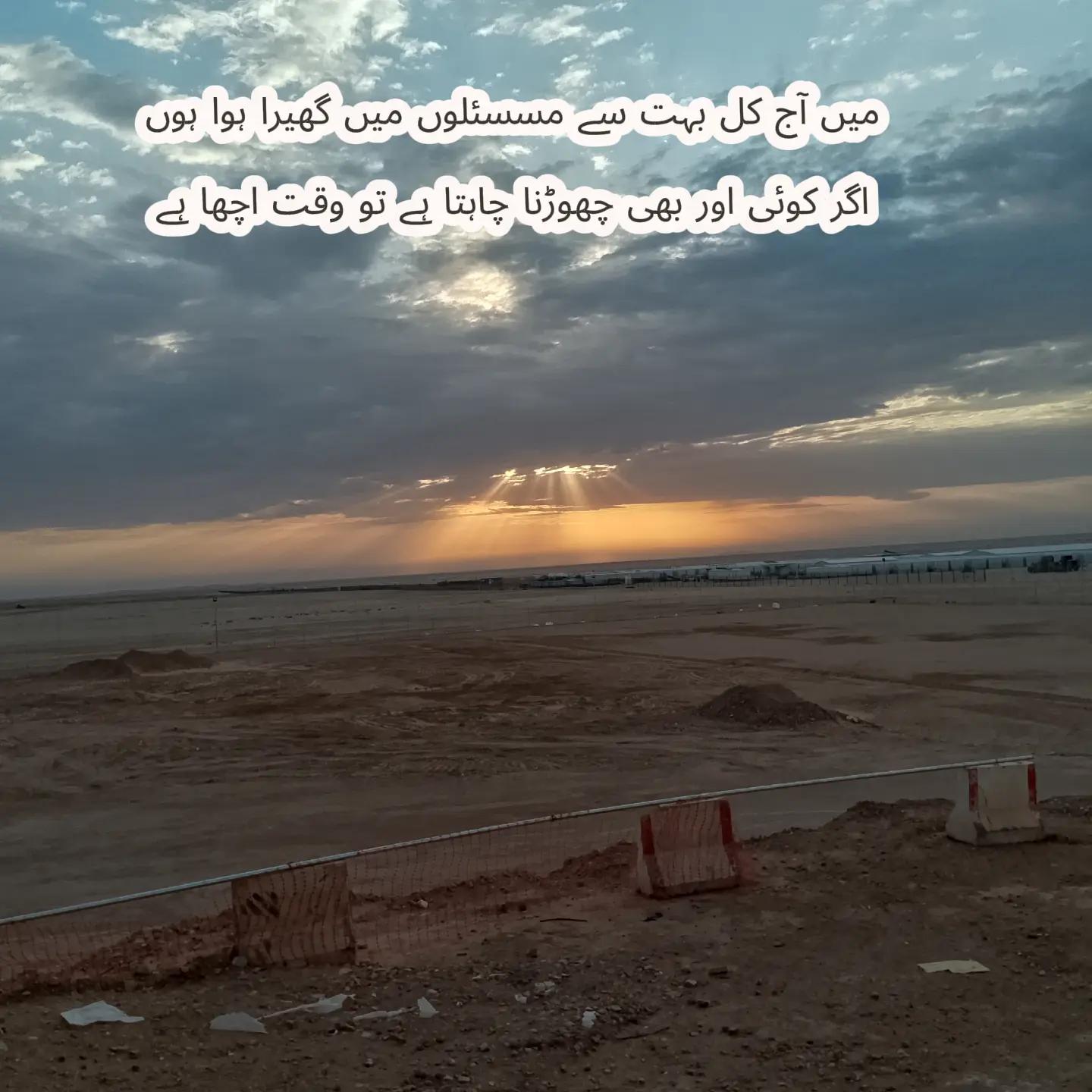 @🕊️