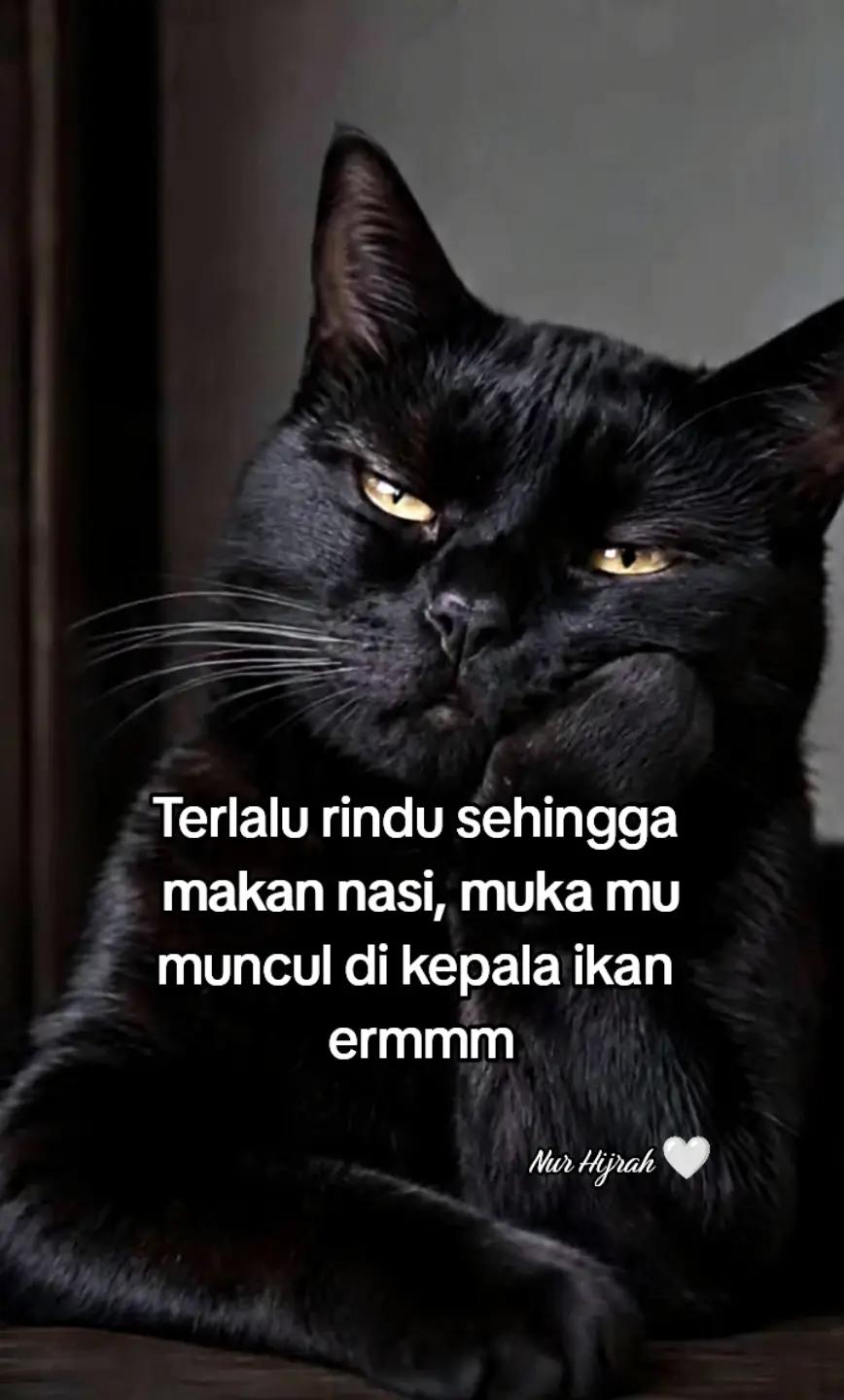 @Hijrahku🤍