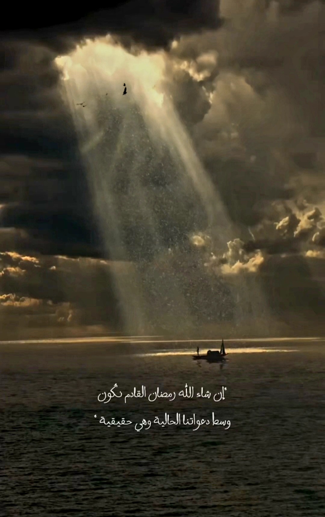 @Modar Hamza