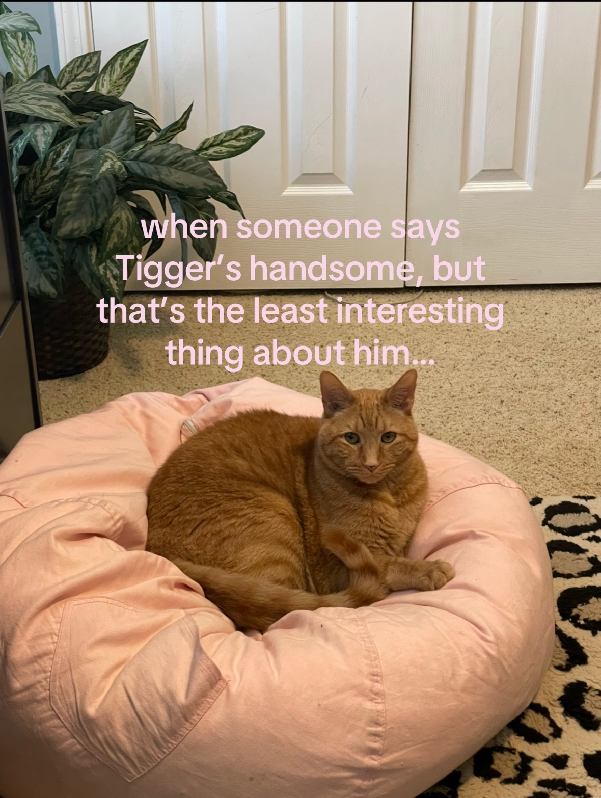 @tori