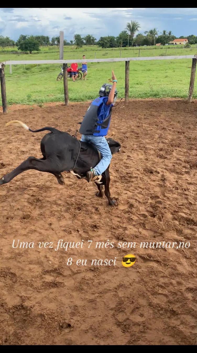 @andré🪶
