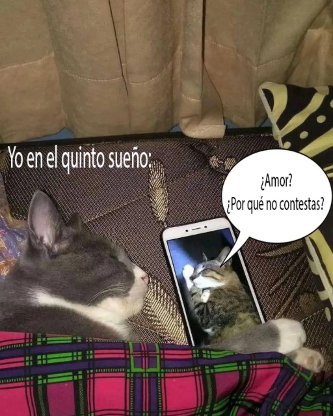 @♱