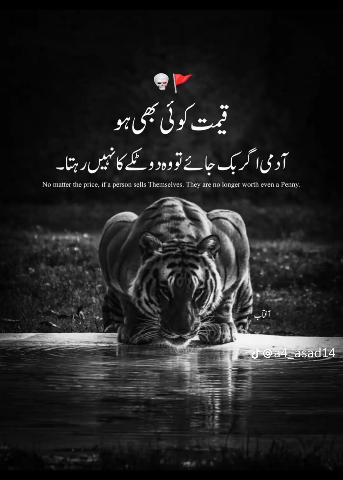 @👑Syed TaMour BukhaRii⚠️