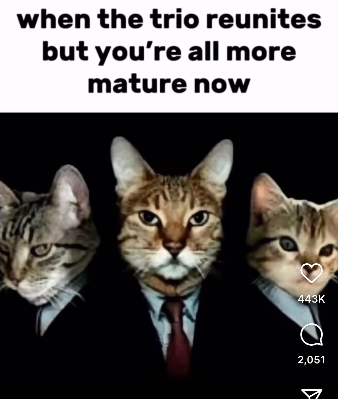 @Bastard
