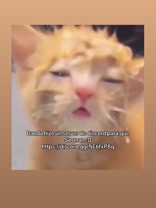 @Yuliuz. RP