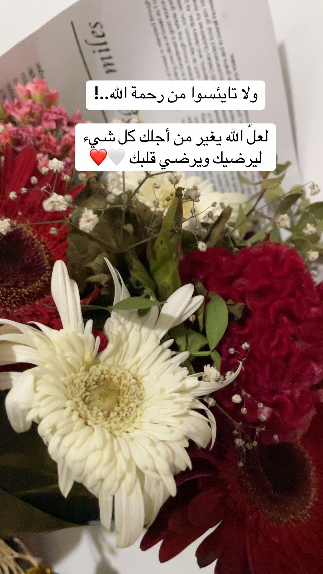 @Eman ahmad