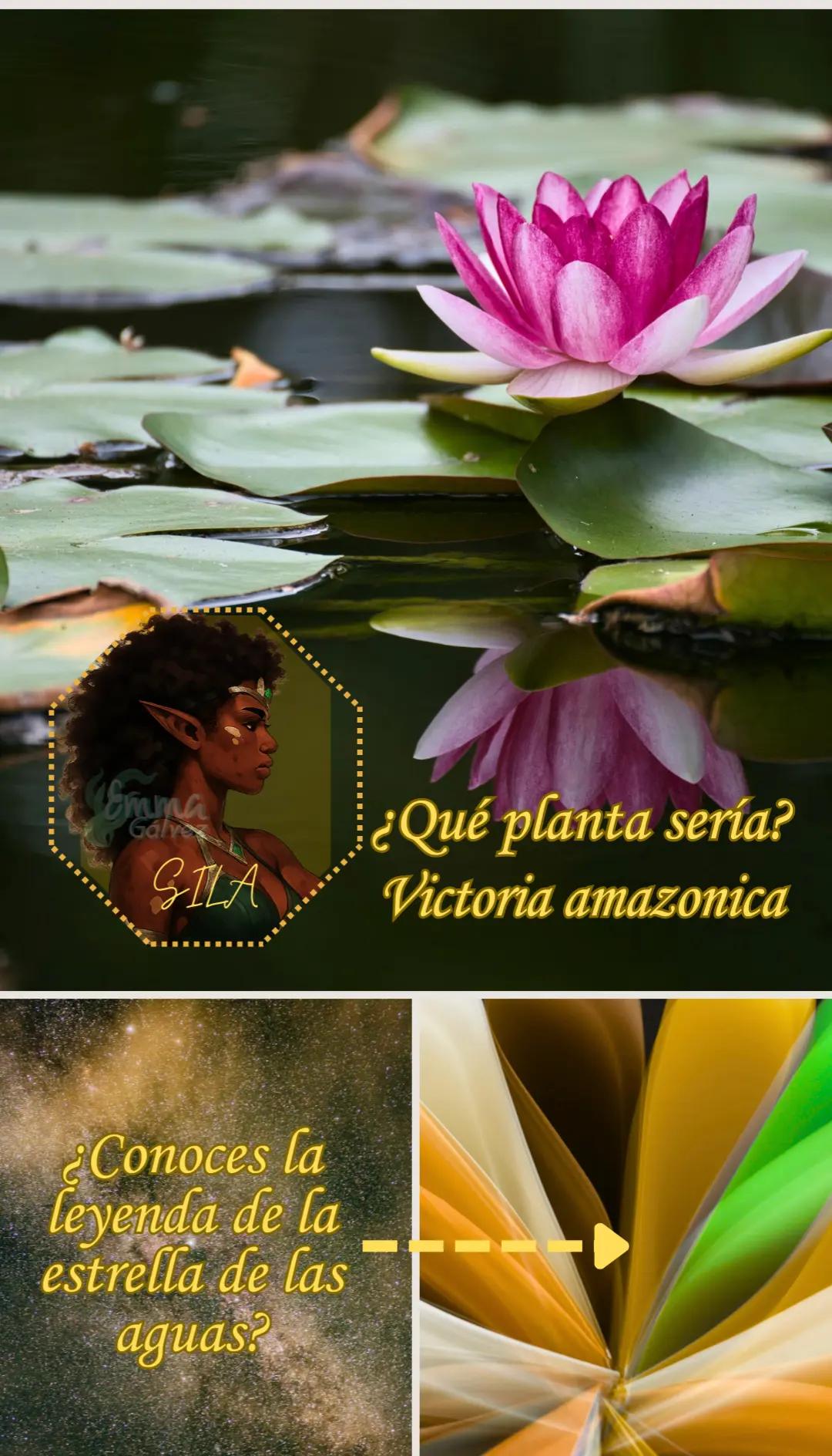@Emma Gálvez Pastor