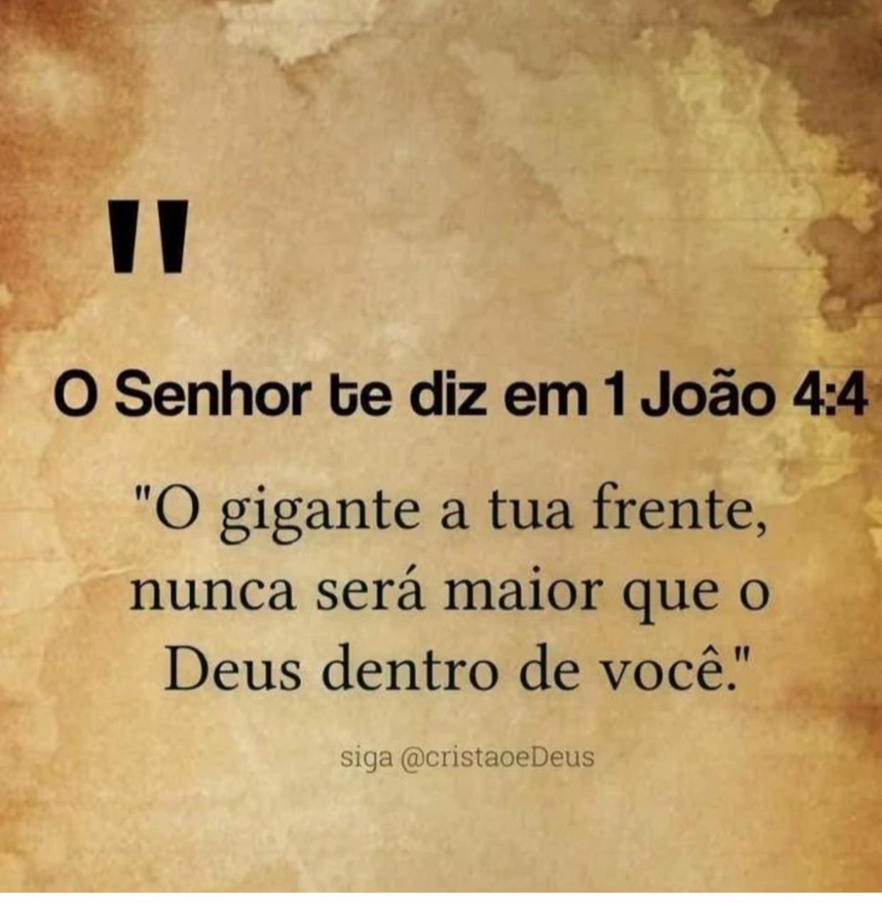 @Jose Carlos Matos