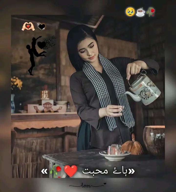 @🏴☠️_ پیر محمد_ بادشاہ_☠️