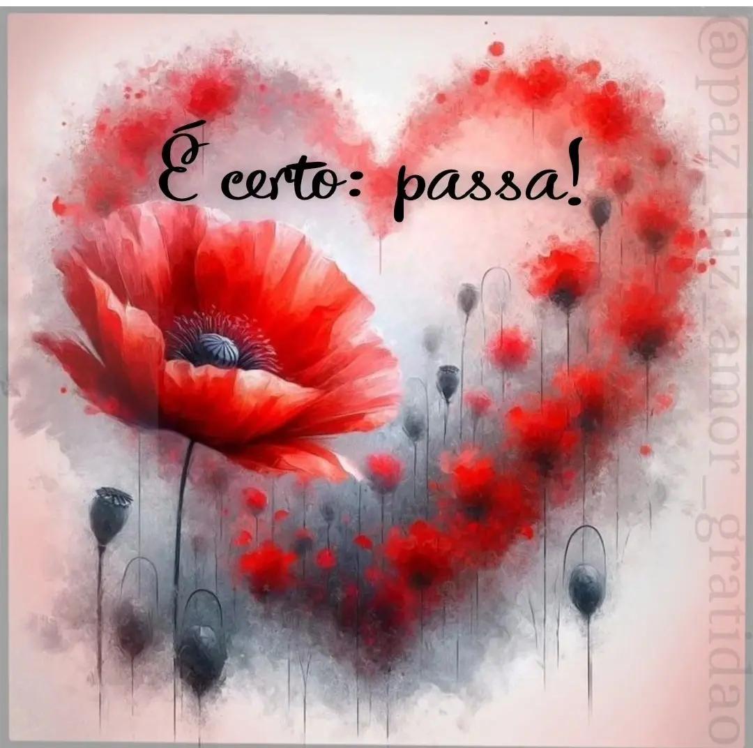 @isabelcssiamorais