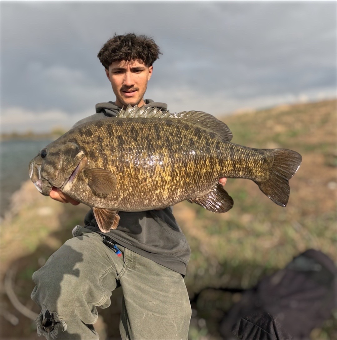 @FishGuy