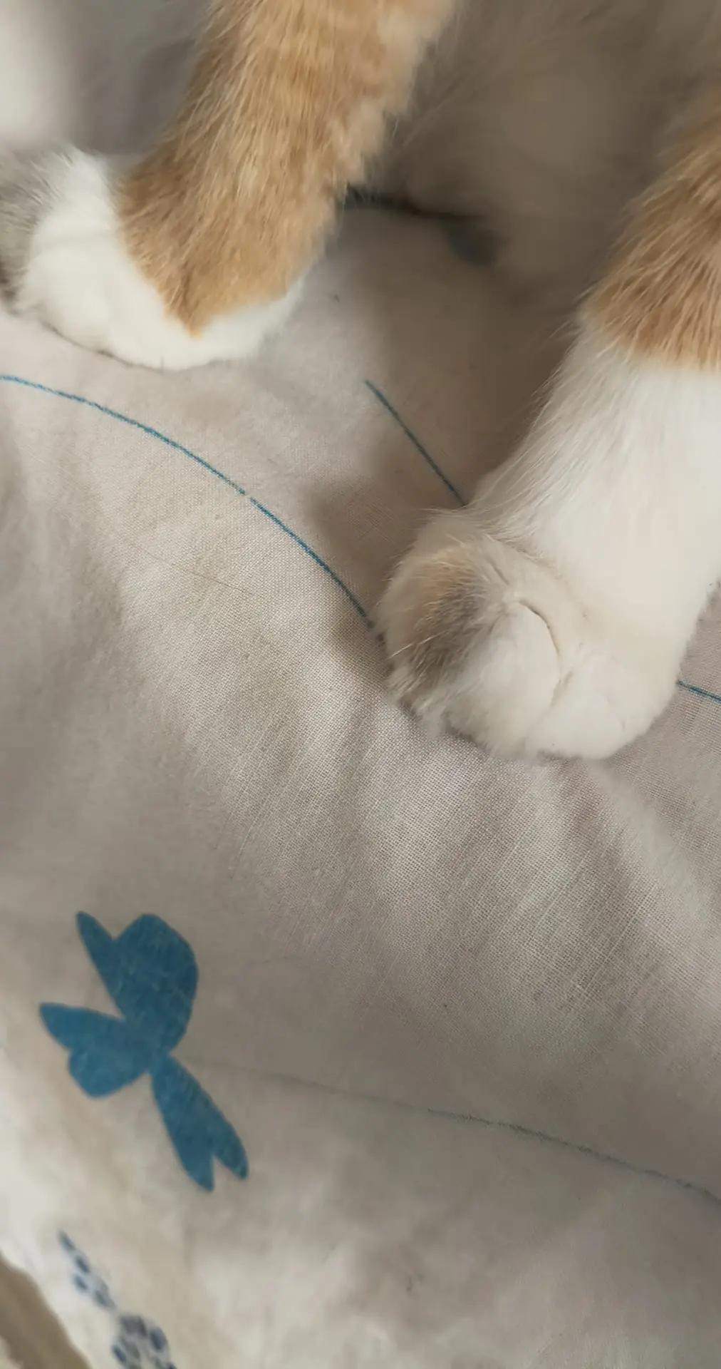 @maribelsc33