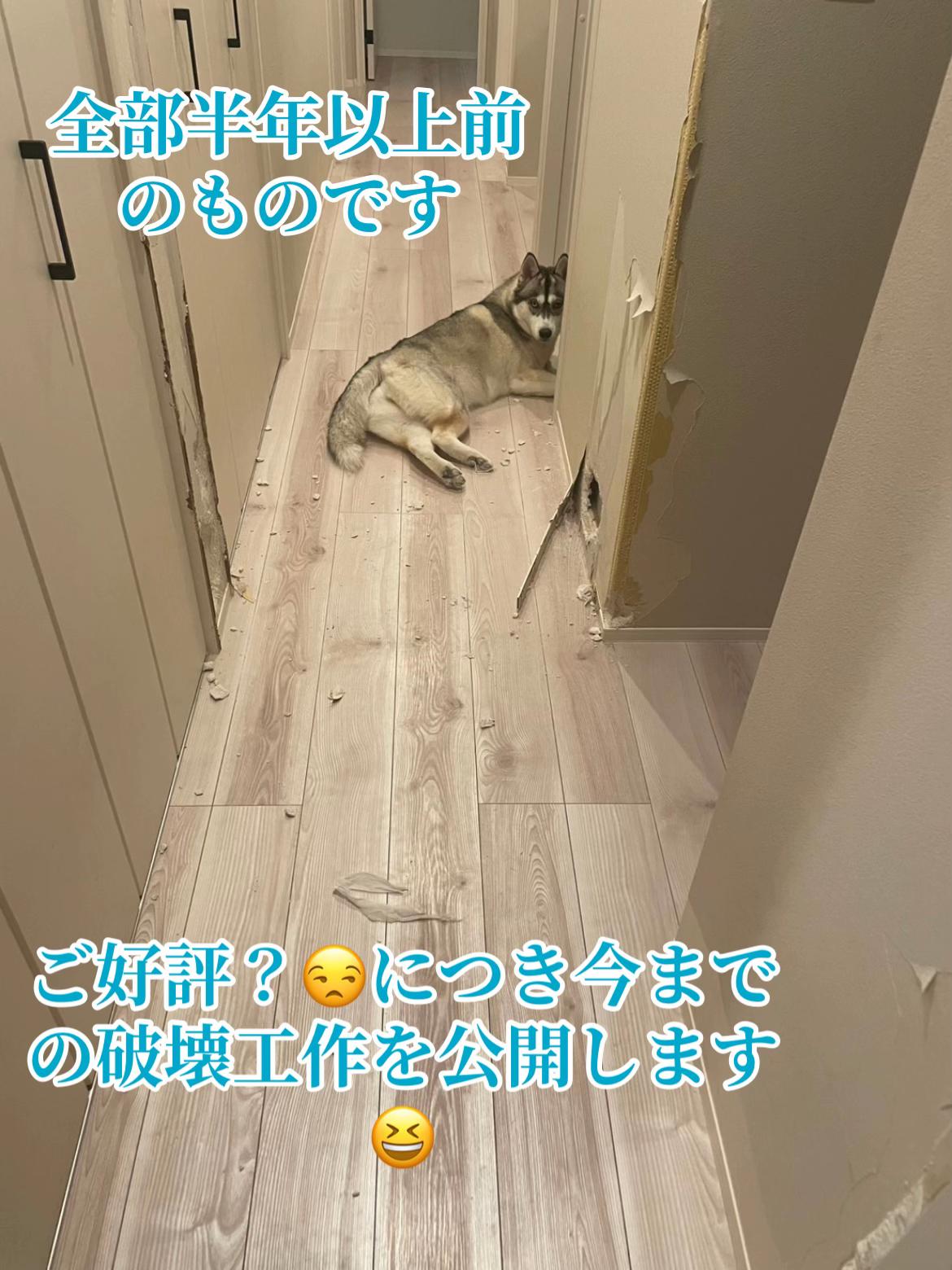 @サン☀️とムーン🌙