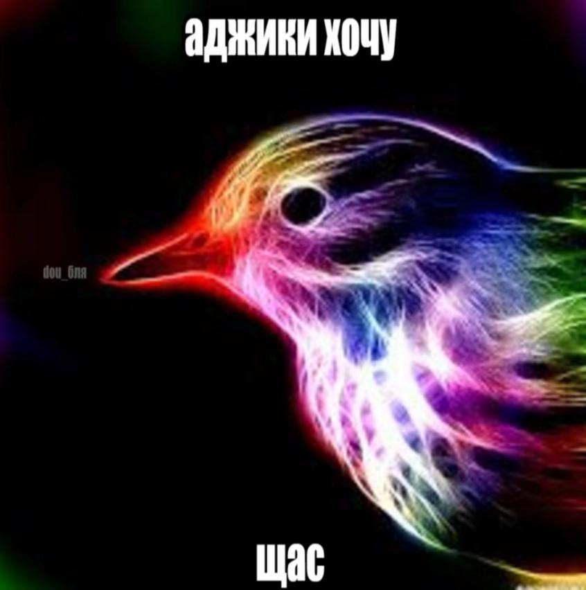 @dou_бля
