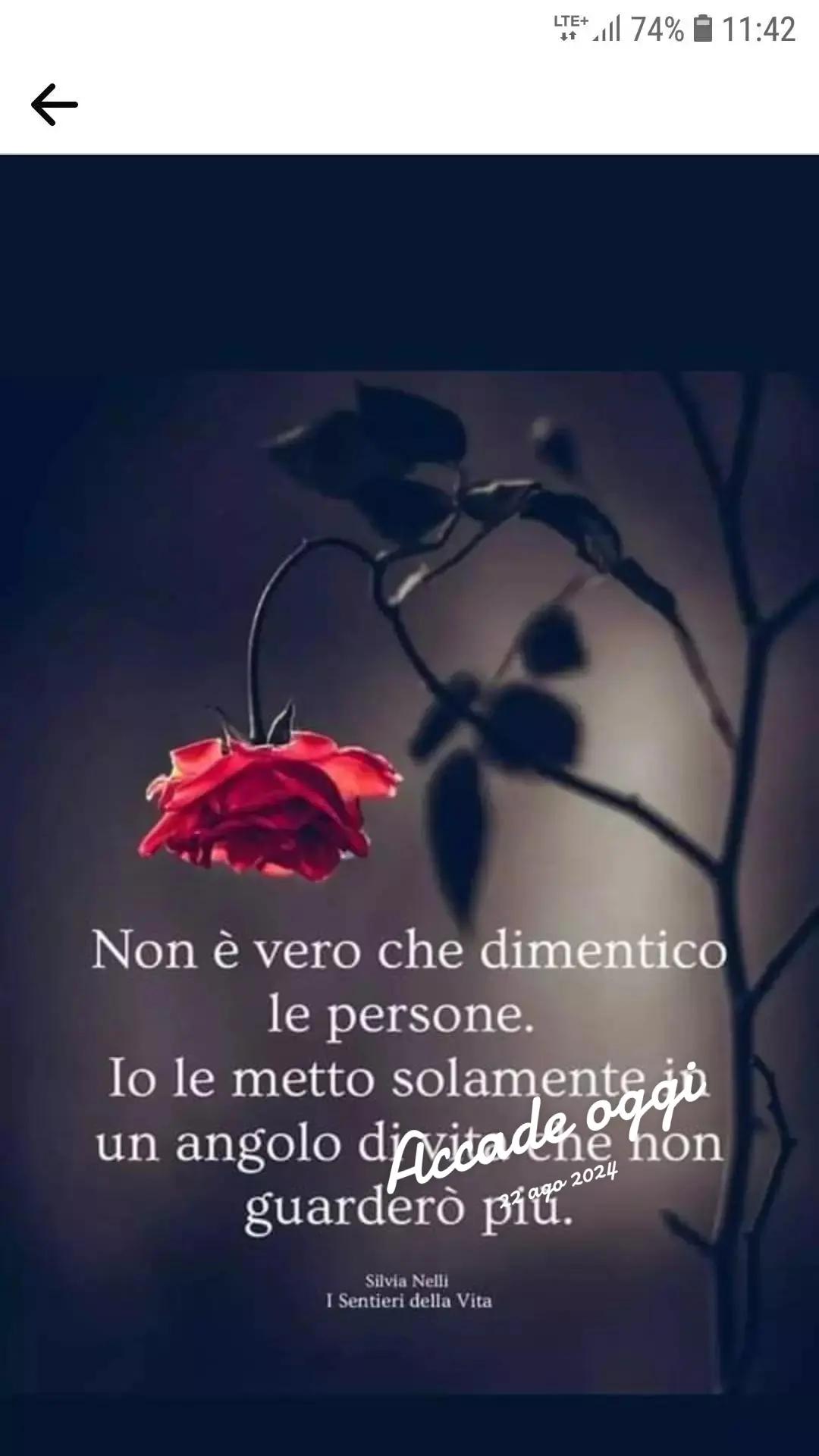 @Francesco Gallina461