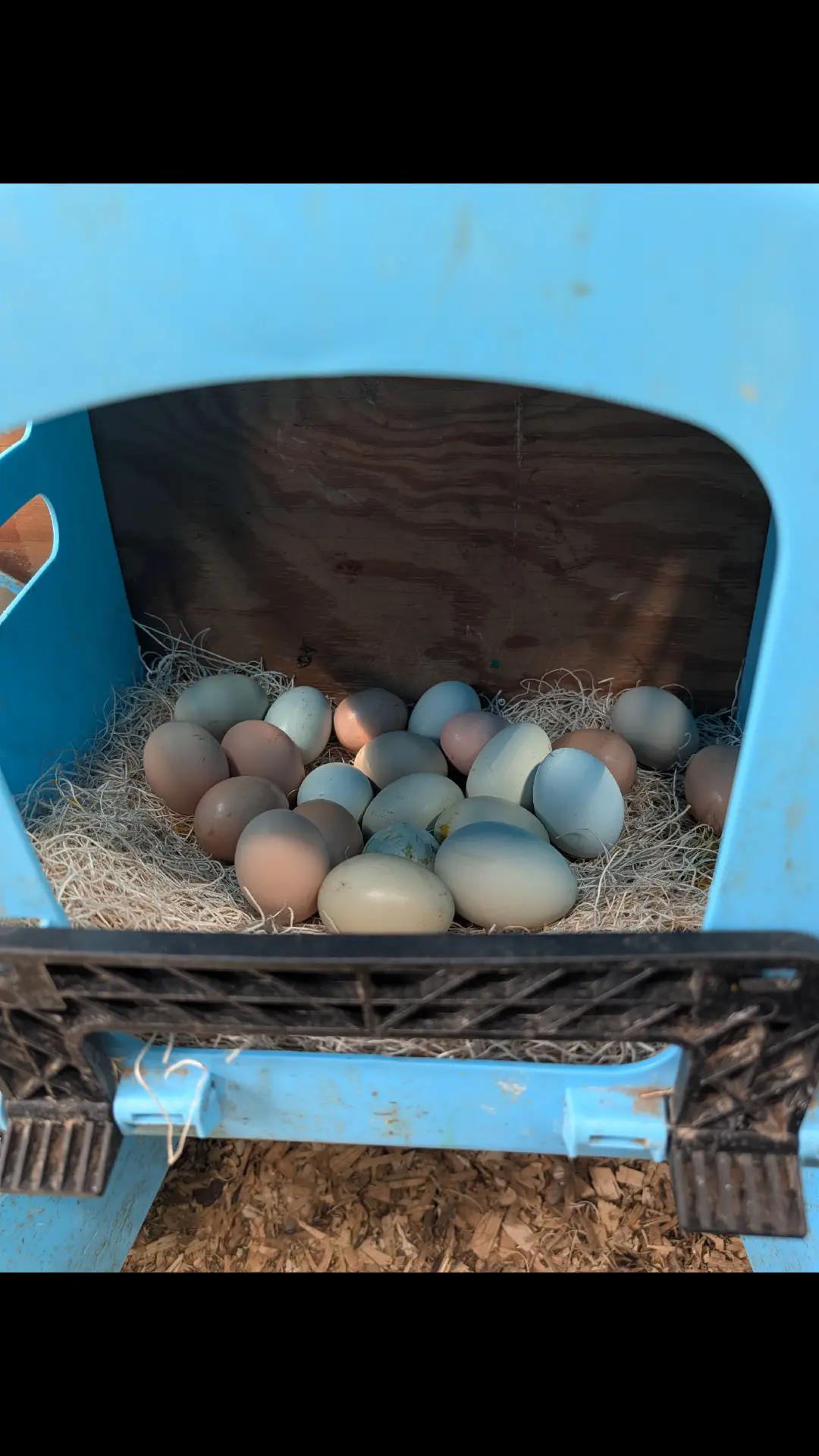 @FarmHandMark