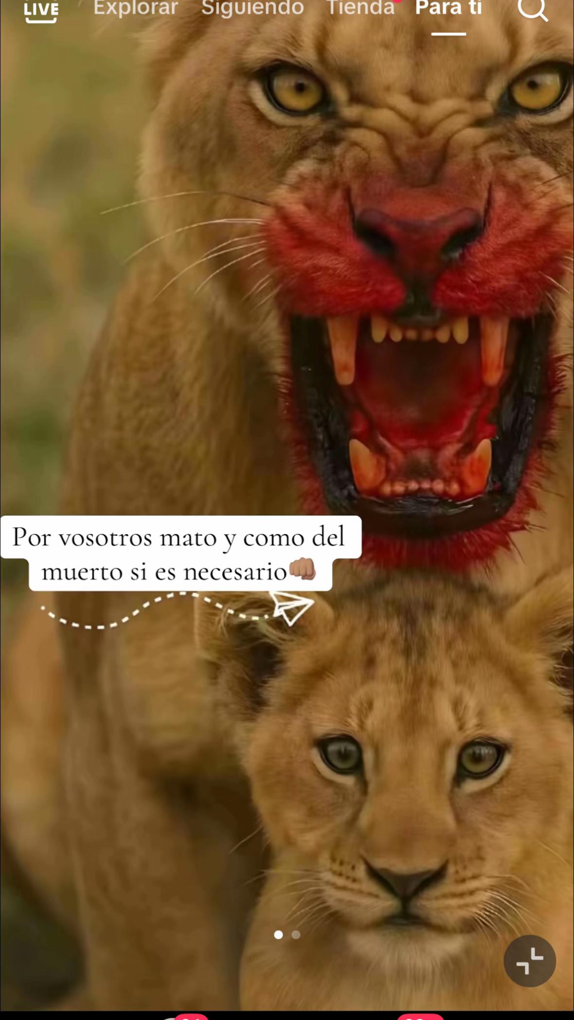@Sebas y Triana