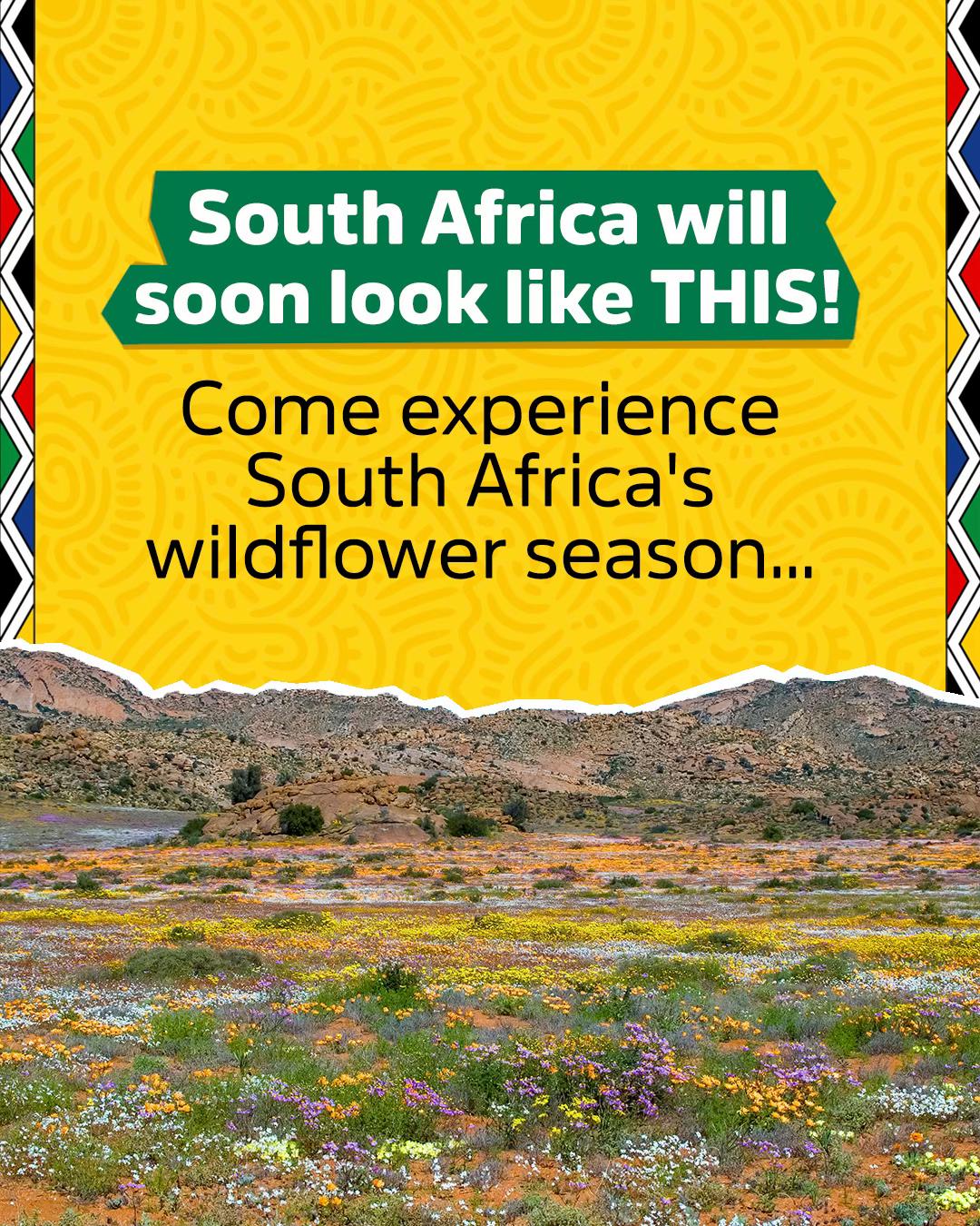 @South Africa UK