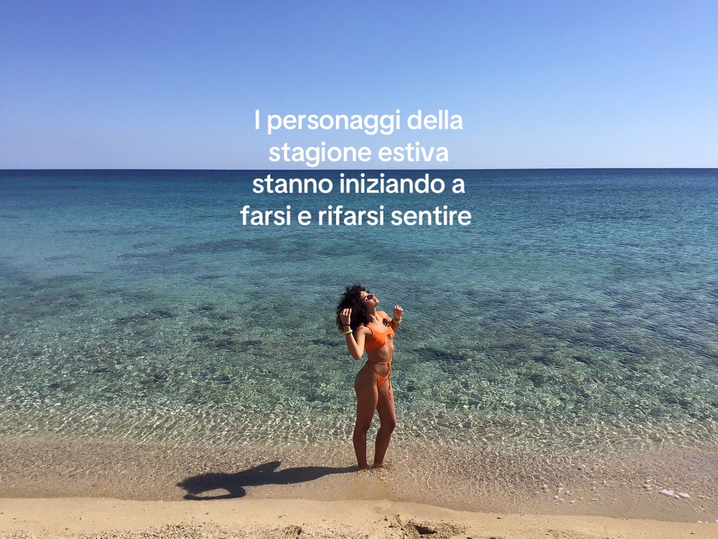@Vanessa Colaleo