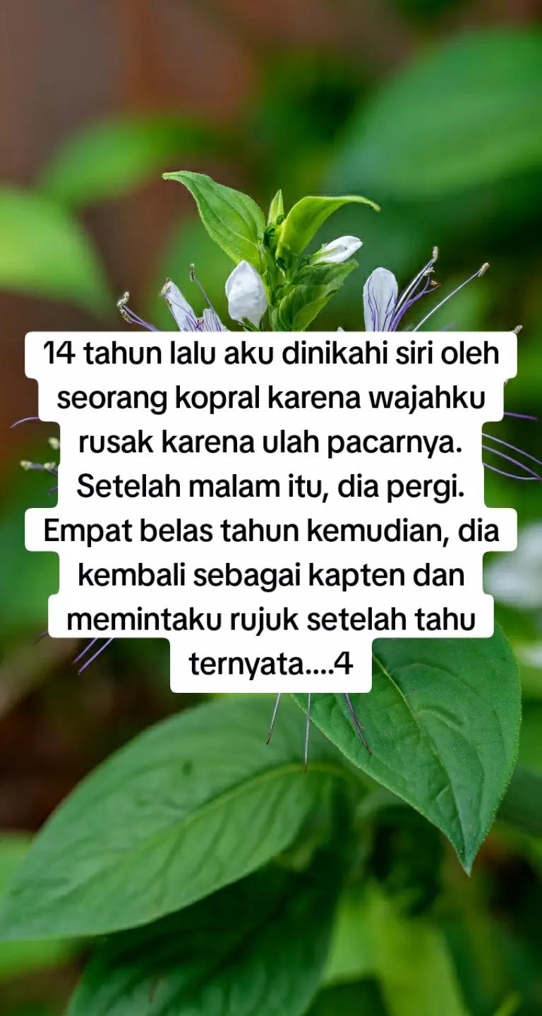 @Promosi Novel Online