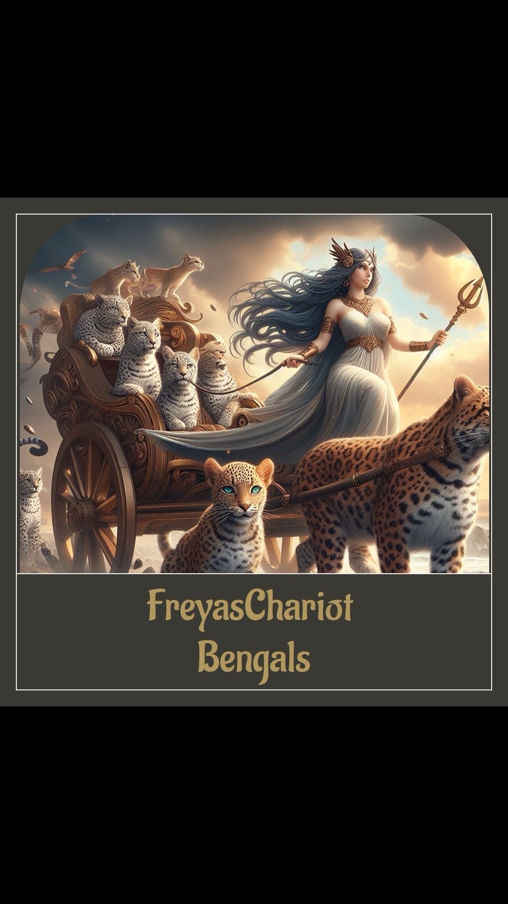 @FreyasChariot