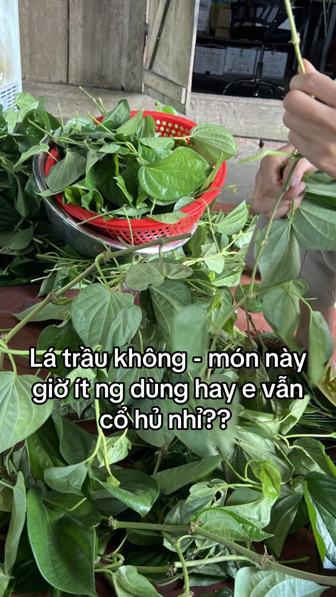 @Dung Nhây
