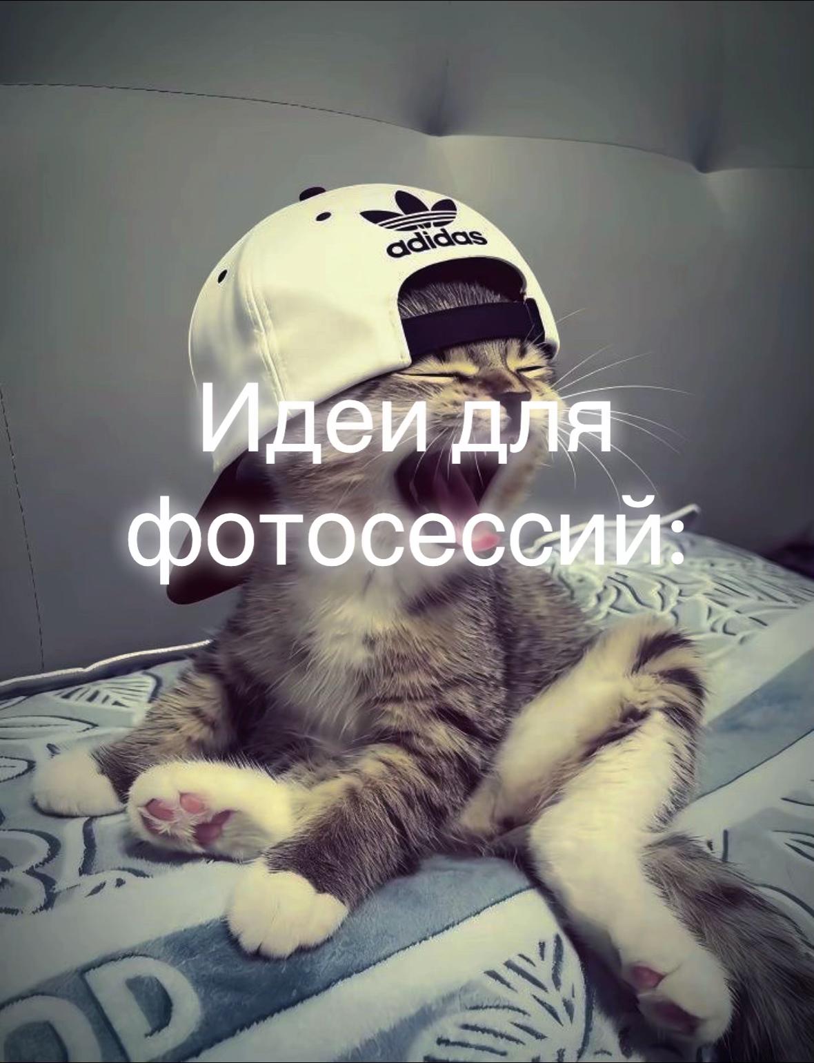 @Карина Зима👾
